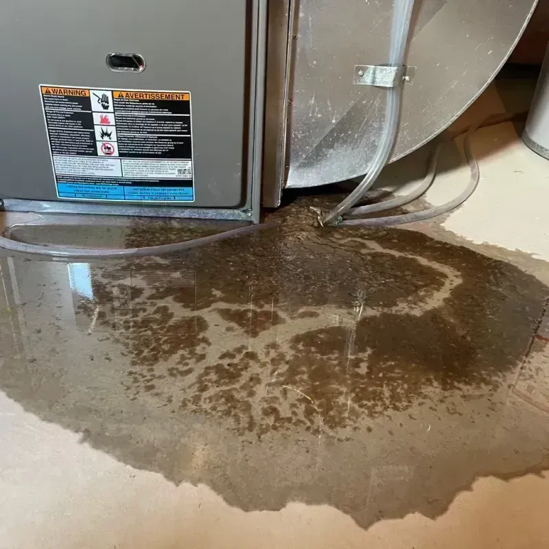 Appliance Leak Cleanup in Canton, IL